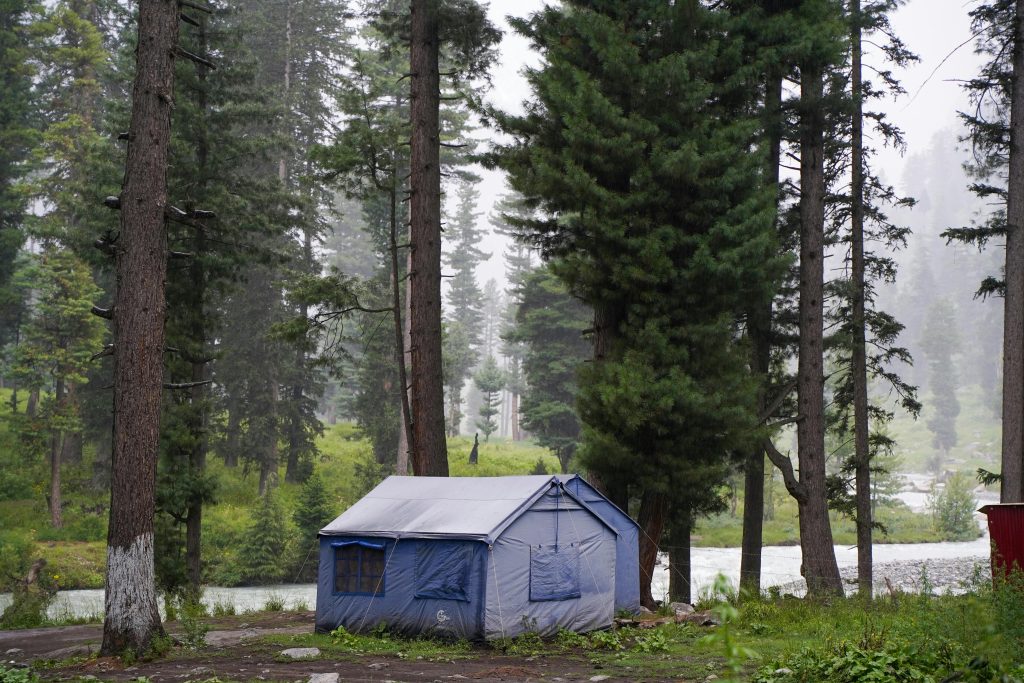 A Tent in a Forest